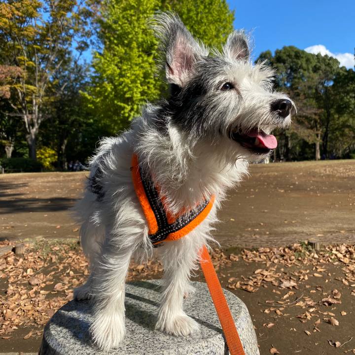 B769d07f c19b 4e04 94fe 28dafbc57d67 1572873340769