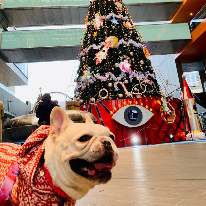 B769e213 c55f 4394 ac75 6a3b54769451 1573729216876