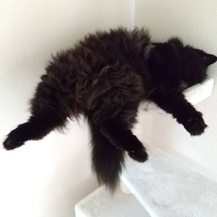 B76a5065 8a27 465d badd 72e8965423c4 1595126962144