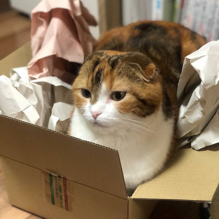 B76a67b9 9543 4bca 8064 680dc2d74c8b 1547041198507