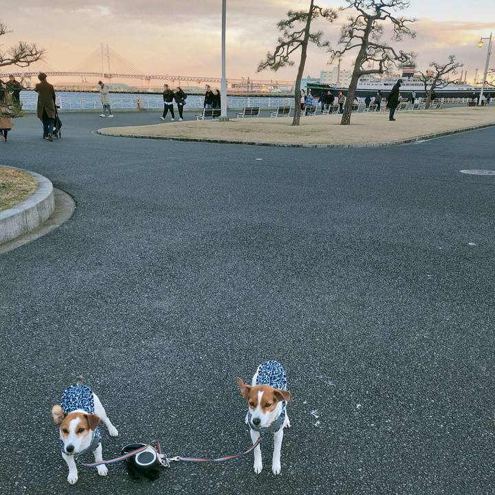 B76a8013 d83f 4e69 9be6 c35278e76ce2 1768124127266