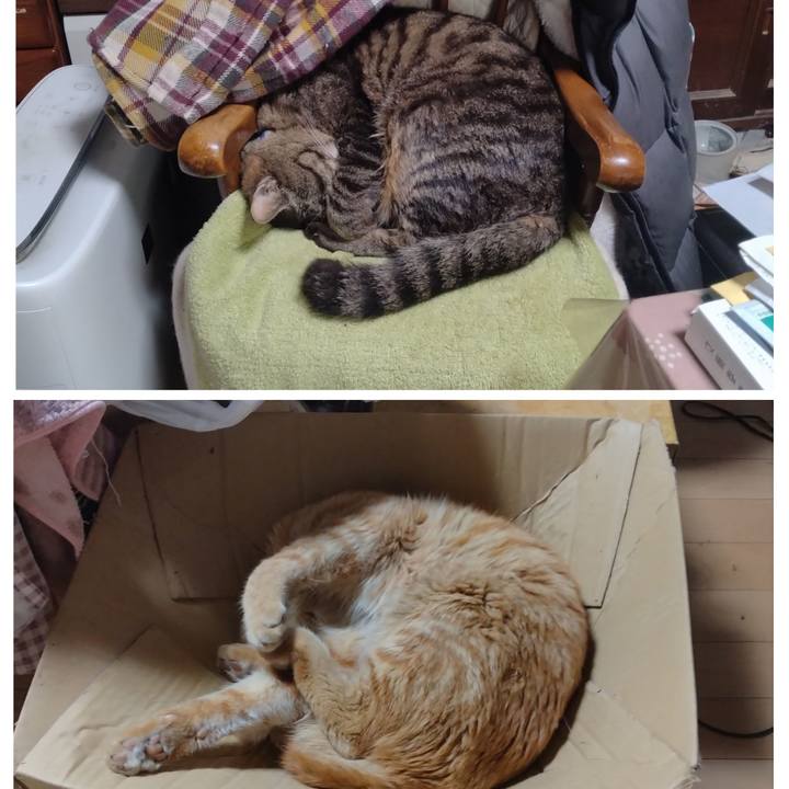 B76a96d1 8e38 40e9 9fad d3c16607ee59 1683344497117