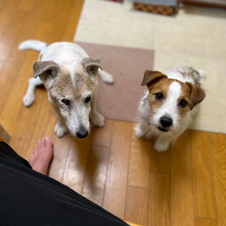 B76ab2df 49e9 415a 8440 d8b23ddfa678 1722896888557