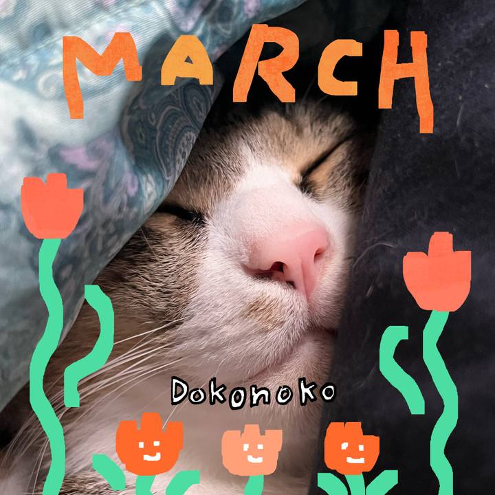 B76abf00 ff0b 44cf a435 eb523e551eaf 1741063496499