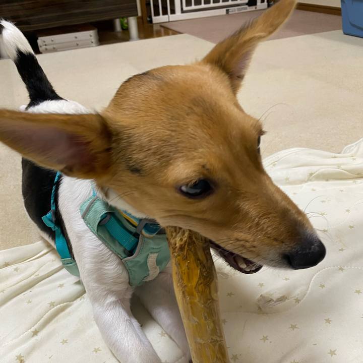 B76ac663 7ef6 4cf3 ae1f 27dd879d56b2 1755178005888