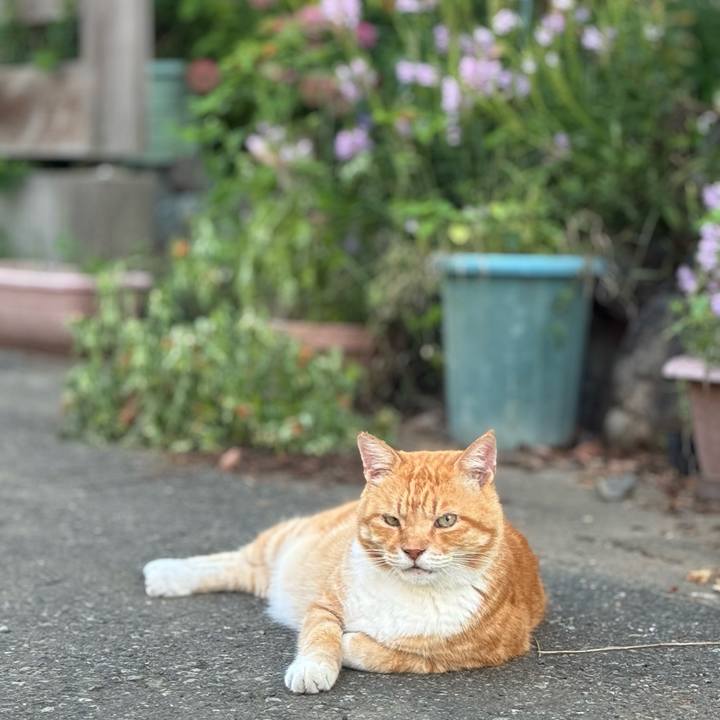 B76b5254 74a1 462e be33 a34c2ea61d98 1757298770598