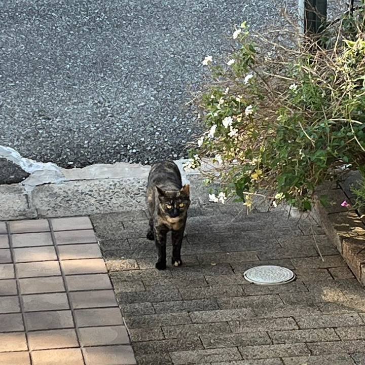 B76b60e5 dc55 4a50 bfb7 e63848bb70a0 1684276202726