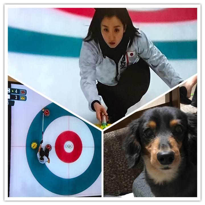 B76b6af1 2c47 46a2 8c5a 1c69dc8c9cb3 1519394820963