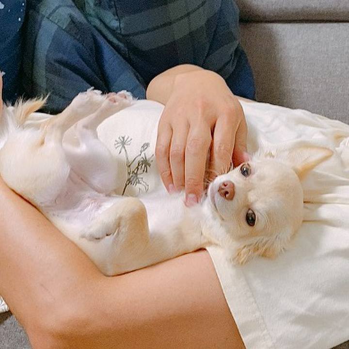 B76b98f3 d4a1 498c 931b cfdfae5f80da 1599369095993