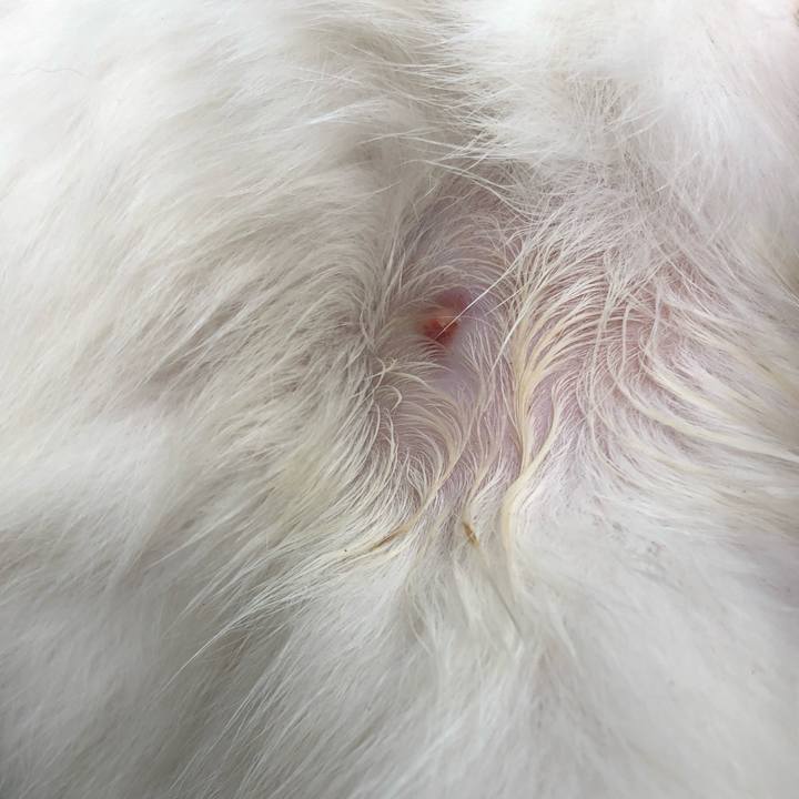 B76ba617 7354 4355 9f99 6fee30d33200 1592990173955