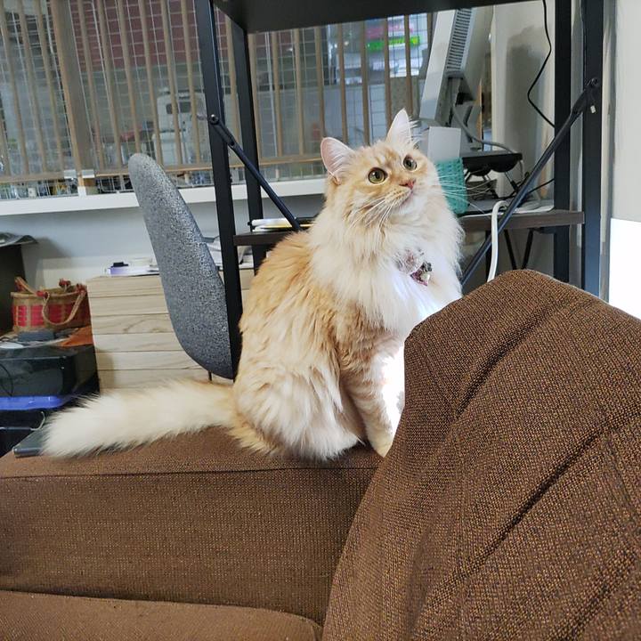 B76bdbb5 a620 479b 8ded 7242170f9d3b 1680819128879