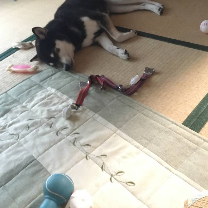 B76be23a 3ee7 4b88 bac1 5aa622ae3596 1628411797700