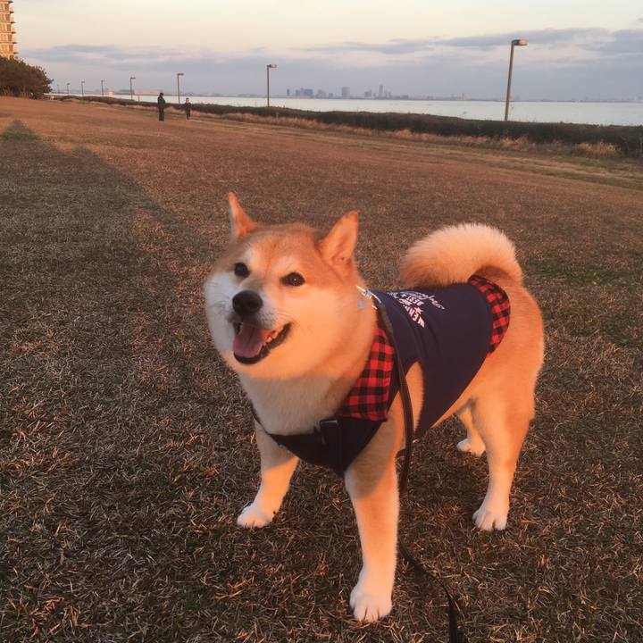 B76c2025 a8a5 4f3f 9bbe ebff1a620f94 1545382673607