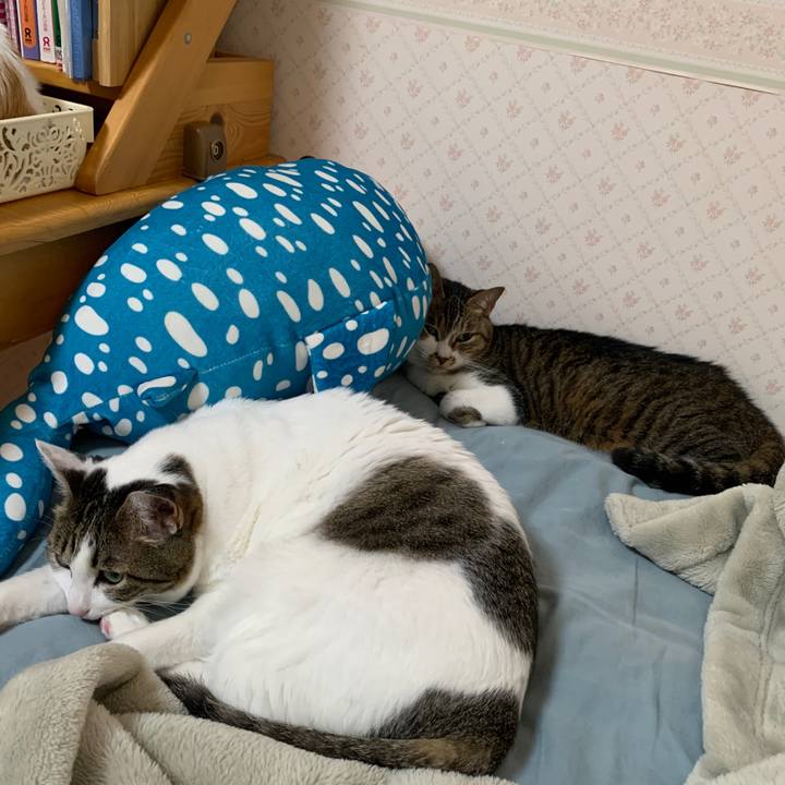 B76c280c 2fa8 4436 ac1d 476ddb448105 1652042550259