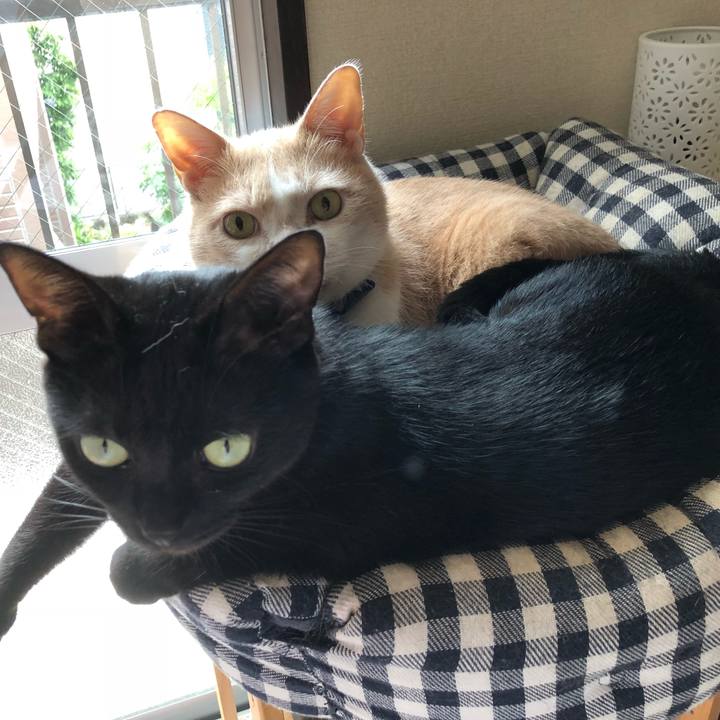 B76c7e8f 4cad 4f37 b9d6 83c836feb8f7 1536883484970