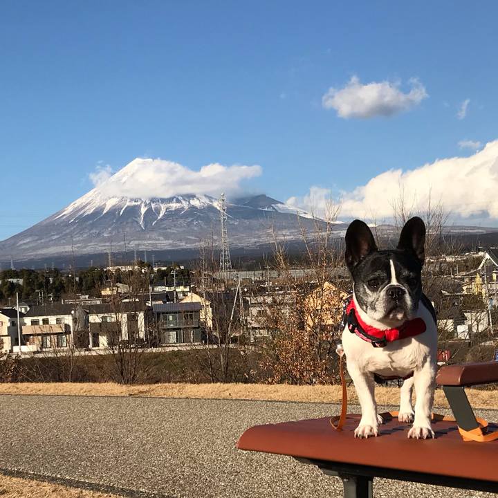 B76c80be 3f82 4d10 9edb 4221b38ad6a4 1549018158462