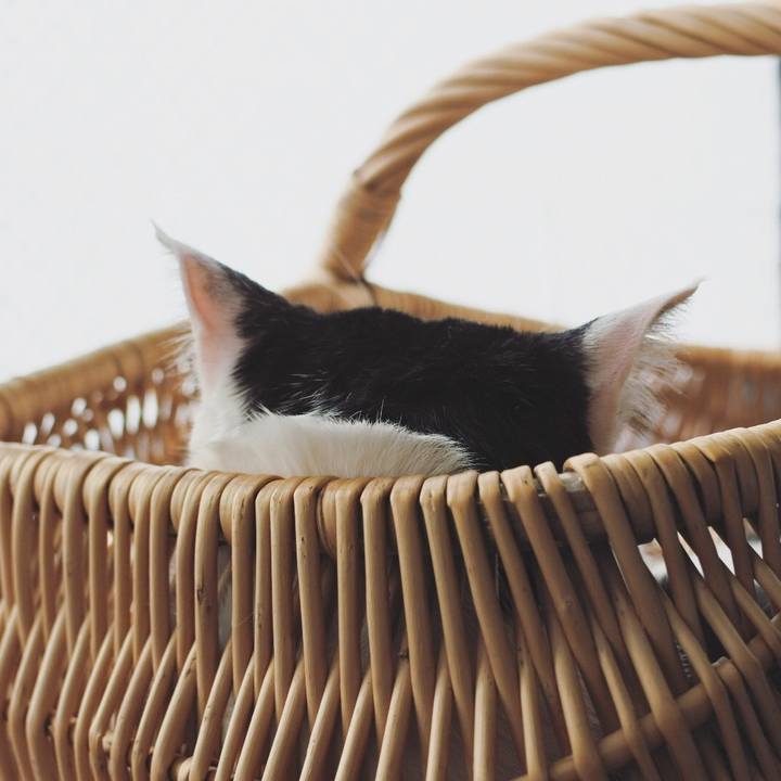 B76c956d 2a46 4c02 8f6b df62fde14531 1613175892486