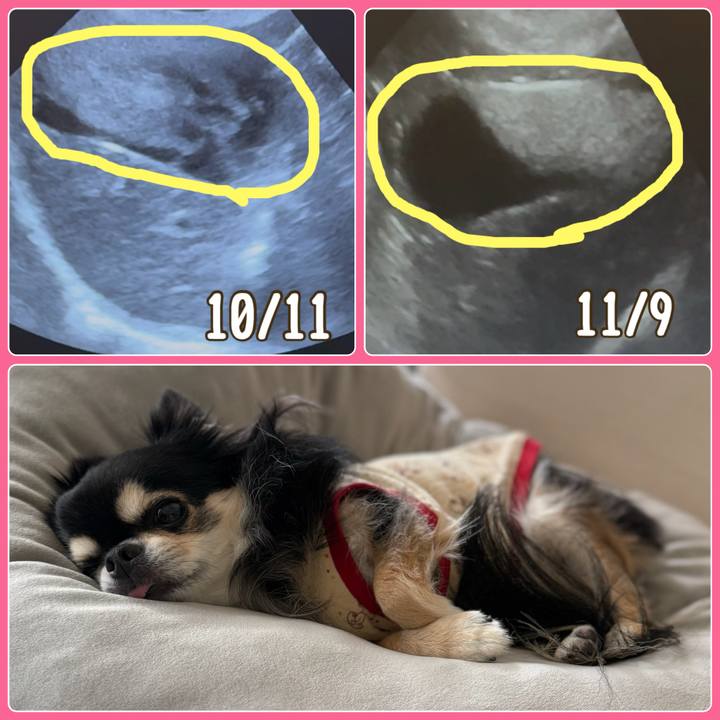 B76c9b72 877e 4906 a584 e6cda1951c71 1762650222865