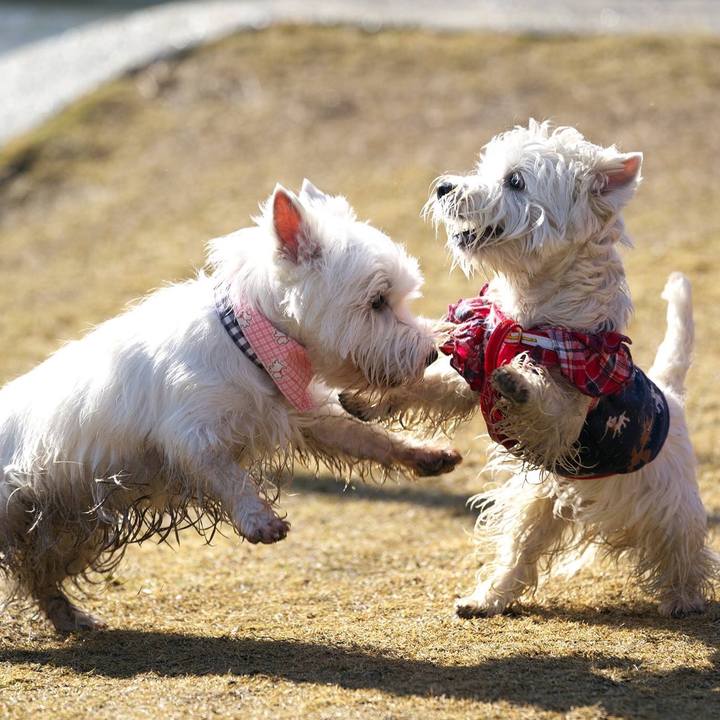 B76cbf46 33a8 46ee 86c7 bb00d7414992 1515328648690