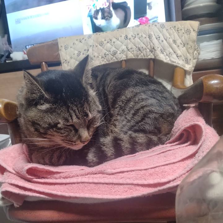 B76cd230 c71f 4c52 a28e f9ef3cb613d2 1711233500423