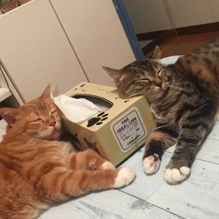 B76cd7e3 a2ed 44a1 a5e6 2289c28ce96e 1566149076865