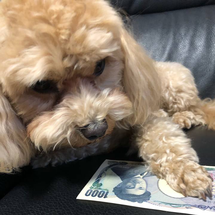 B76cdbd0 1fa0 4f40 9a53 9c83816b2644 1619991437446