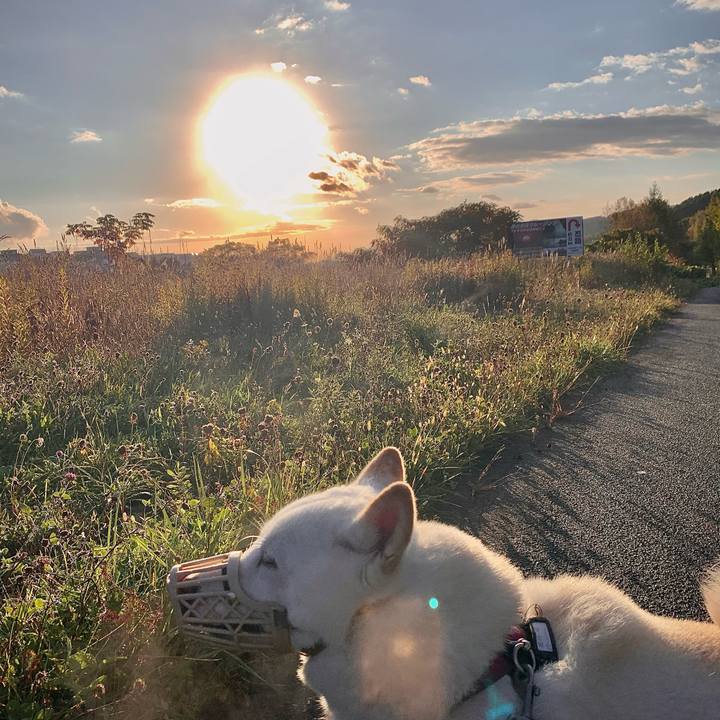 B76cf24d fa84 40f3 97dd aafab3bb596a 1602889169005