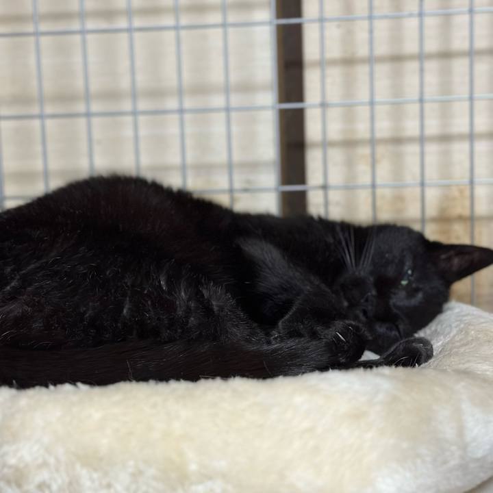 B76d05a3 712c 4f93 894d 9b9d332865bd 1681870396392