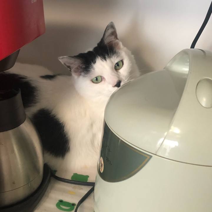 B76d1b23 c7e8 4517 802f 5a8f23ba2463 1588030403930