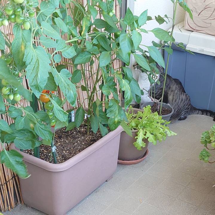 B76d469a f787 46c9 bfb2 ddf119dc52b4 1592347686918