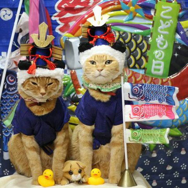 B76d86b0 da81 40b2 8450 ccf9e4362983 1524667900127