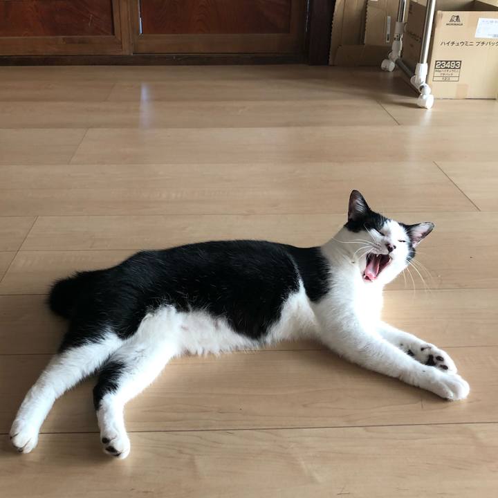 B76d88f3 24d9 469e b818 802377dec299 1564898768541