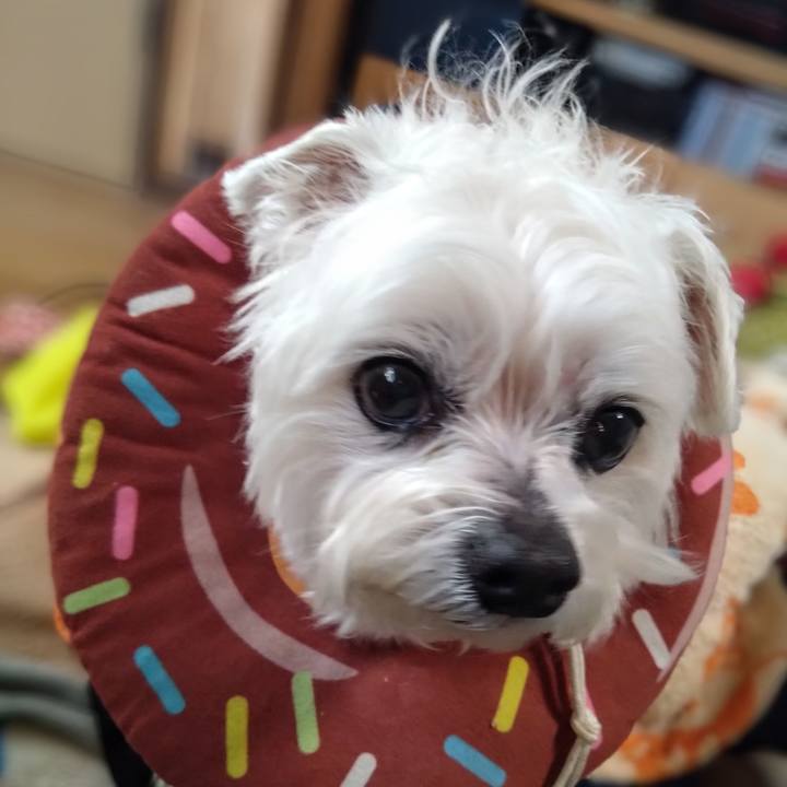 B76d9783 d5fa 4e3b 9c7d a277f5fea83a 1742542151240