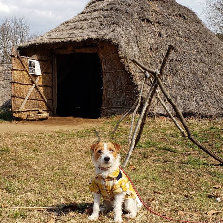 B76db4f0 6fd3 4023 a150 af28366c426a 1553158932061