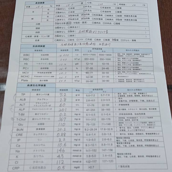 B76dd287 45d3 4a3d 9b24 14e8c3fd321f 1583817419975