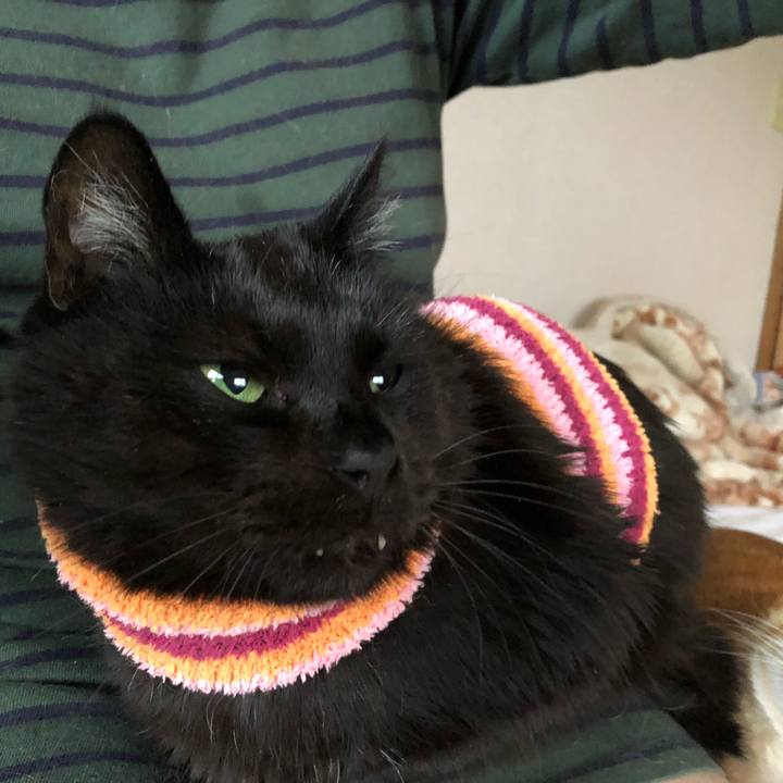 B76e24a1 6062 4794 a91e 3d0a99ccdb67 1587891273751