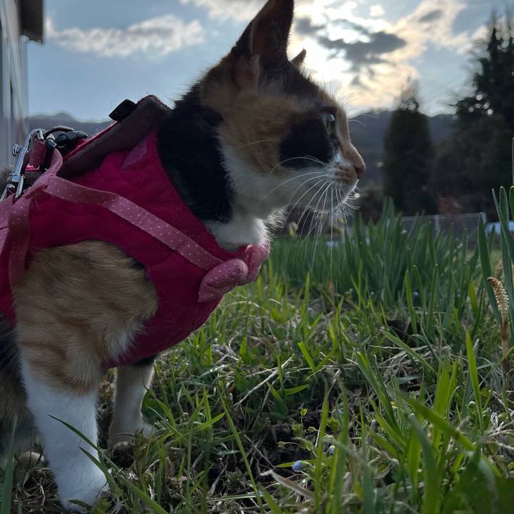 B76e6454 0d70 4293 8f3e 641a0f2320de 1649470230516