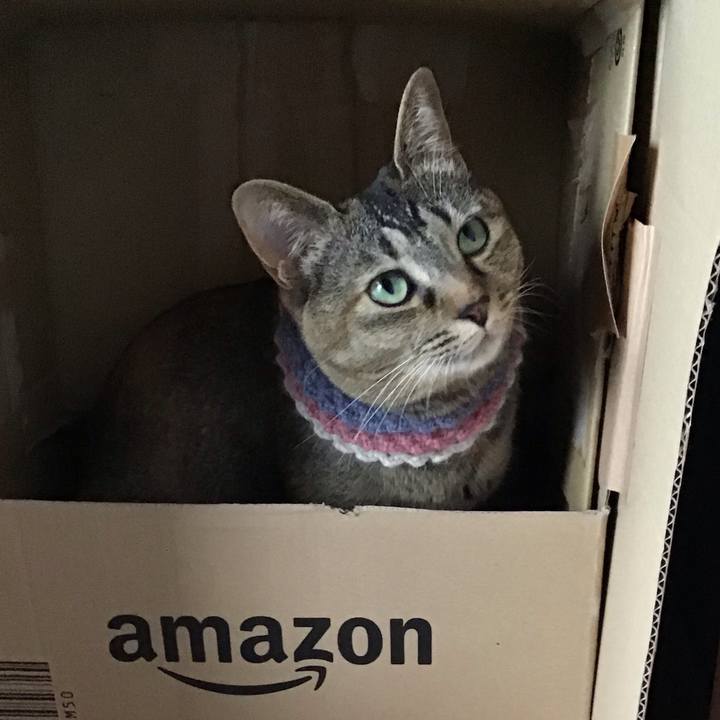 B76e8b5f a032 411a 8495 257890445c30 1621320544726