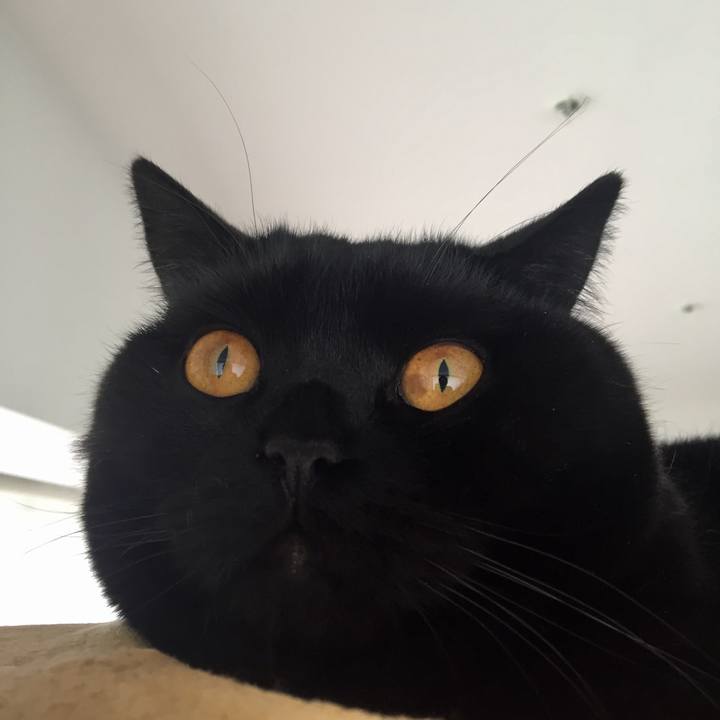 B76ec417 77bf 4986 a963 1912af1b20e6 1524176119518