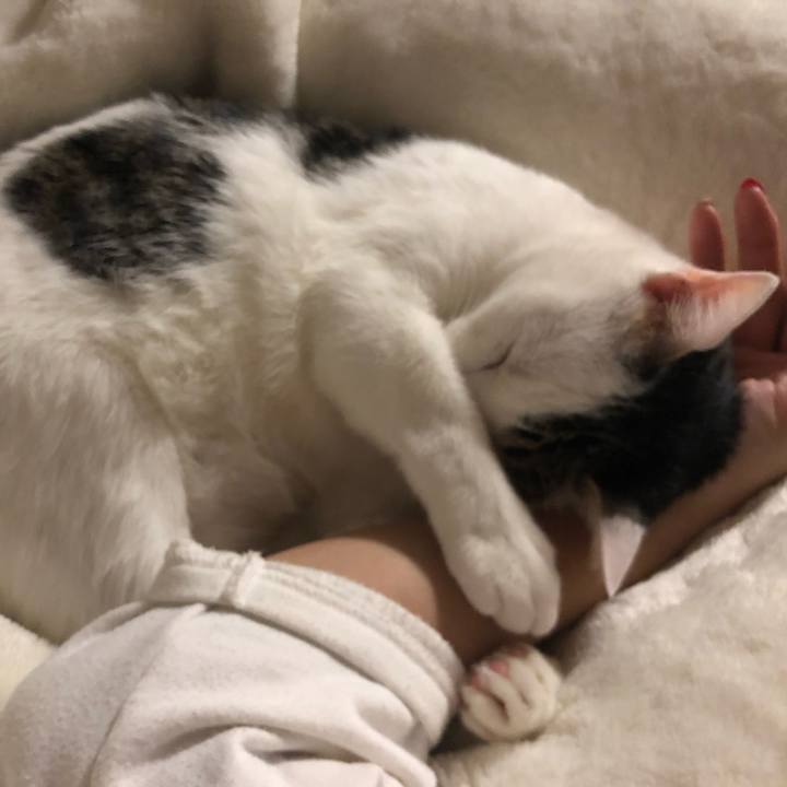 B76ed9b0 ff0d 470b 8688 58fc67d50cc1 1578301683239