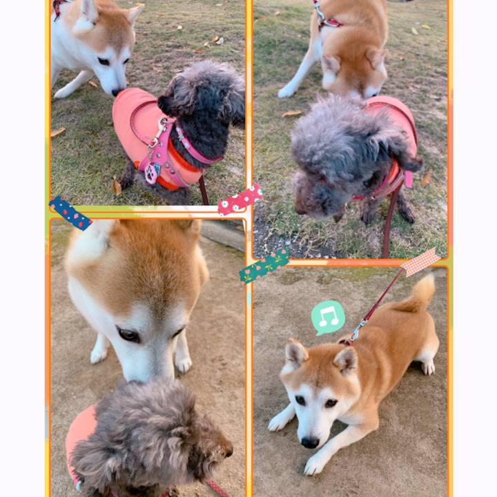 B76efe78 eb51 49c3 a656 3b5d63d9ba13 1636877944395