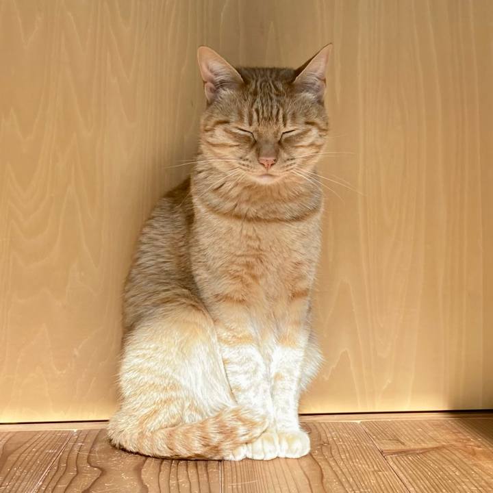 B76f10e7 7256 4c48 93b8 853ac38ab806 1651444013371