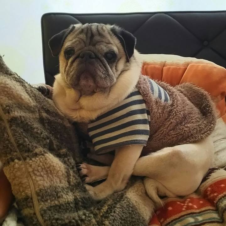 B76f1fc8 e8c0 4056 8fc1 a2a2cdd2a267 1539307337871