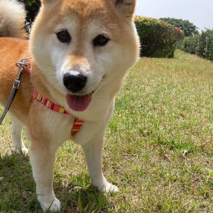 B76f45f1 f096 4bef a135 186c5be044ec 1698984566699