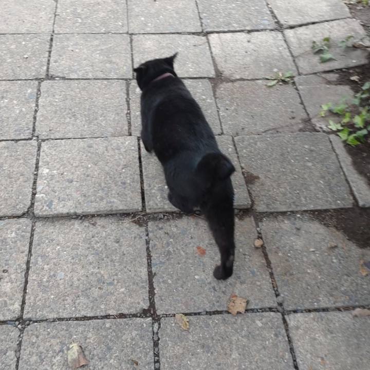 B76f65a7 1a4c 44c0 958d c48f1174dcdb 1730857300300