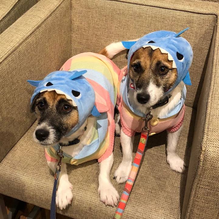 B76faf45 24a9 4097 bf18 6ea8e57c8de9 1566824131050