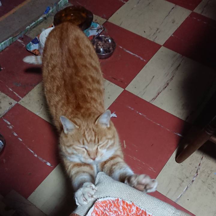 B76fb149 a28e 4f6a b1d9 635754e5e273 1577651118268