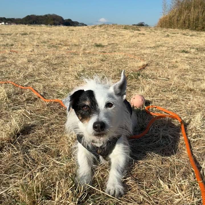 B76fca43 573e 4e37 82d0 2f0ed177a884 1770166560678