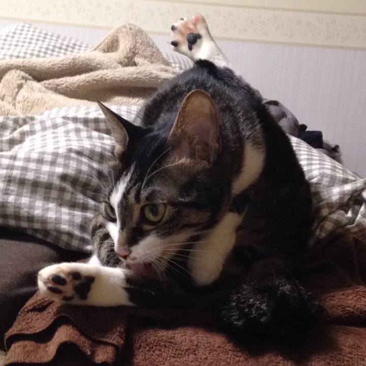 B76ffcd0 c080 4544 a254 5f160c55a26d 1514058806390