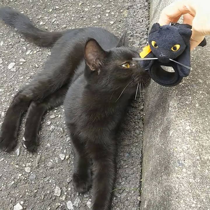 B7701c08 2afe 4f6e a5b6 53ba4244f3bf 1537760621268